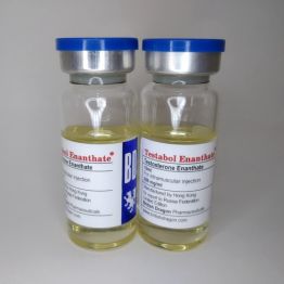 BD Testabol Enanthate 250 мг/мл 10 мл